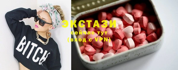 СК Новодвинск