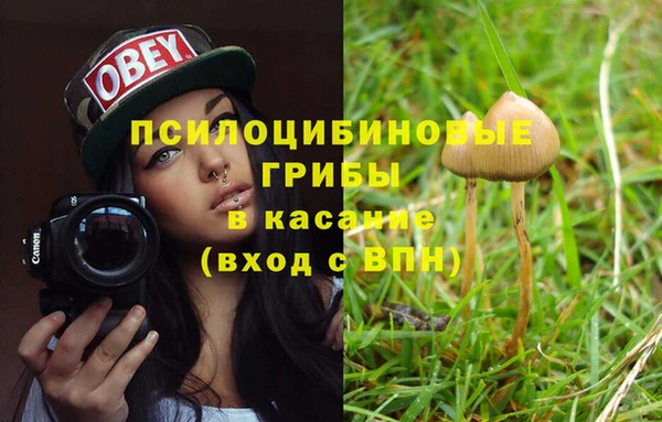 гашиш Новозыбков