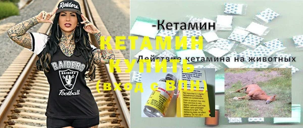 СК Новодвинск