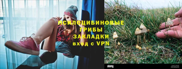 гашиш Новозыбков