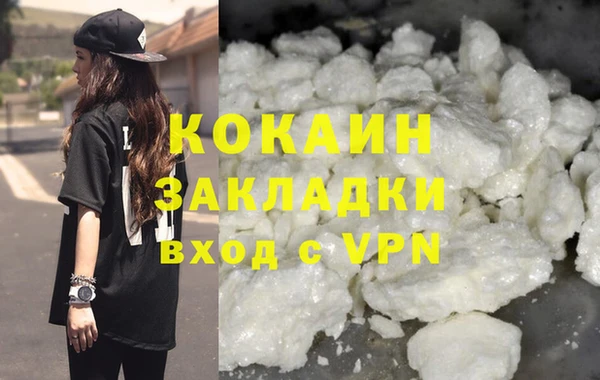 СК Новодвинск