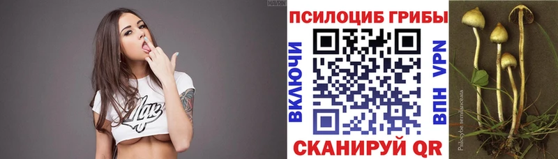 Псилоцибиновые грибы Magic Shrooms  Райчихинск 